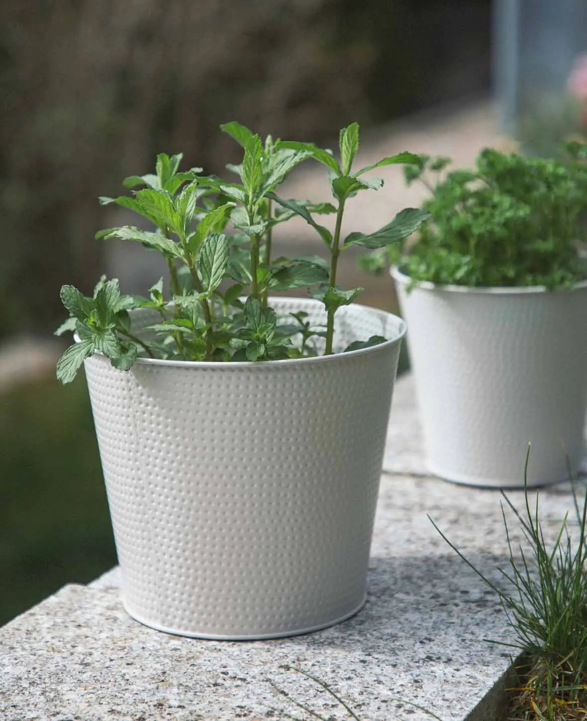 Sheet metal flower pot, taupe, 19.5x17.5cm