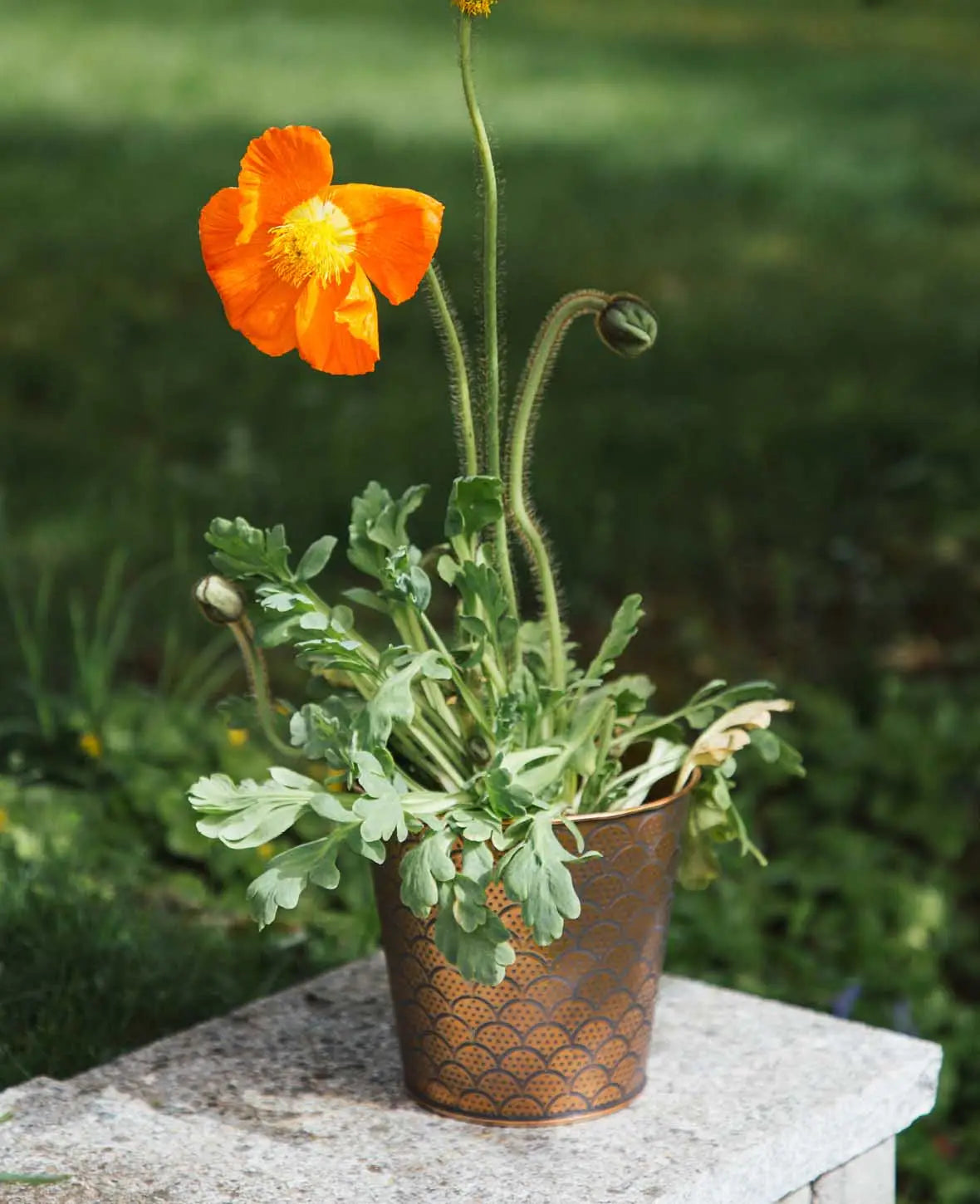 Blumentopf / Übertopf aus Blech, Kupferfarben mit Orient-Muster, Ø 16 x H 15 cm