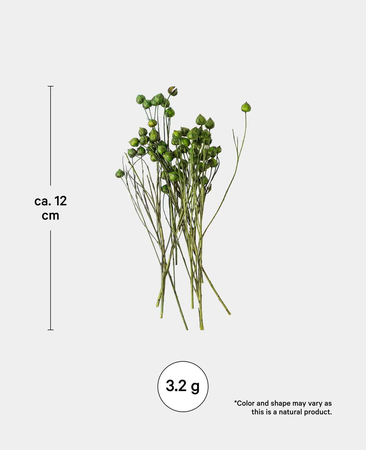 Lino herbe, vert, 3,2 g