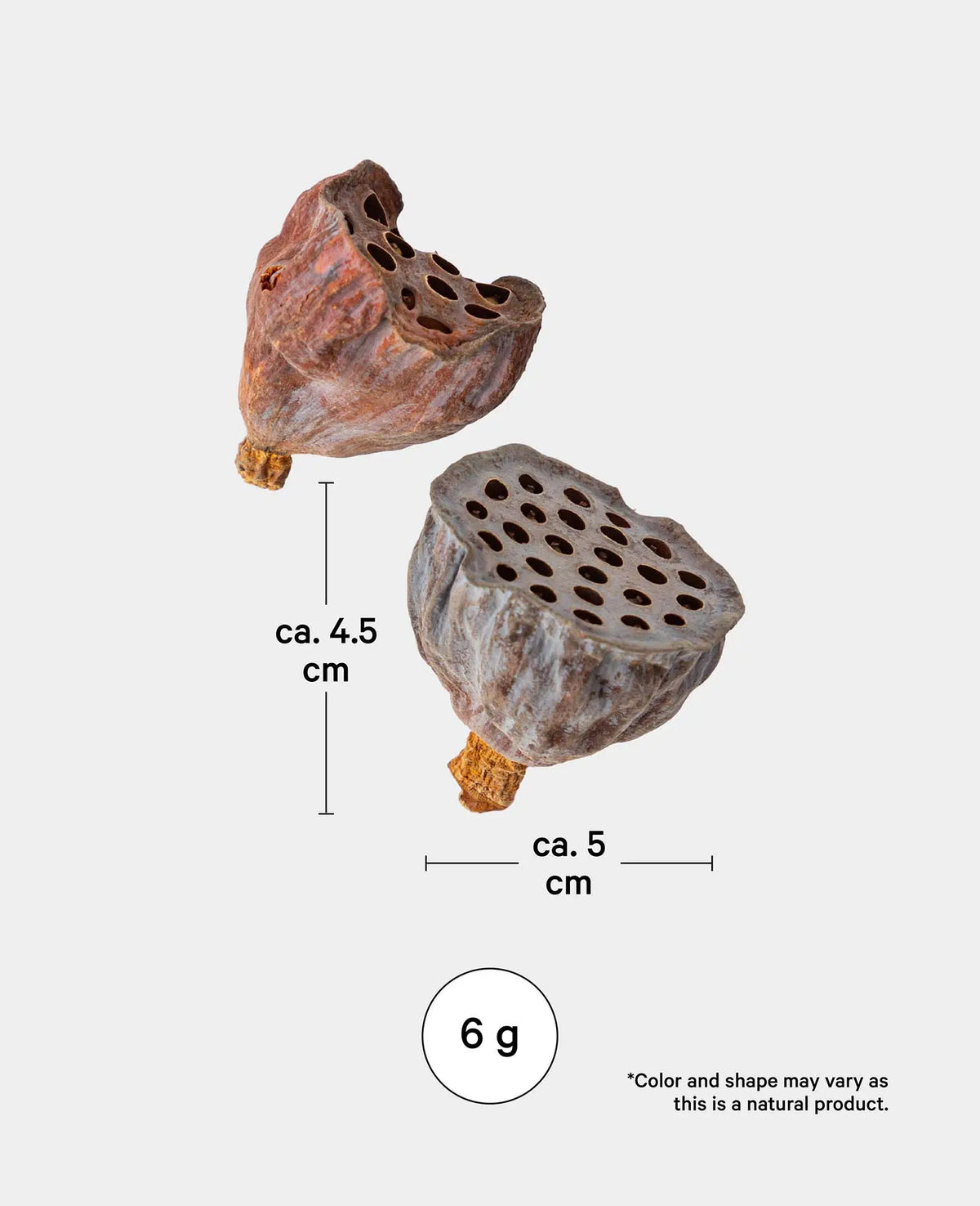 Dried Lotus Flowers, Natural Brown, 6 g