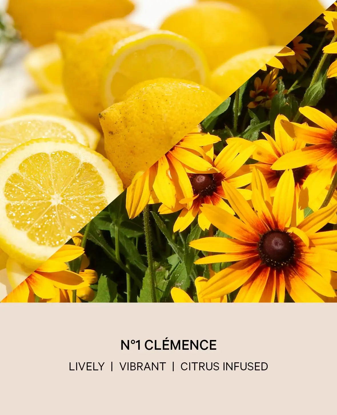 NO 1 CLÉMENCE DUFTKERZE, 280G
