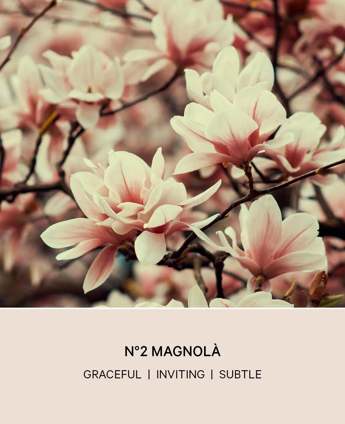 NO 2 MAGNOLIA DIFFUSER, 200ML