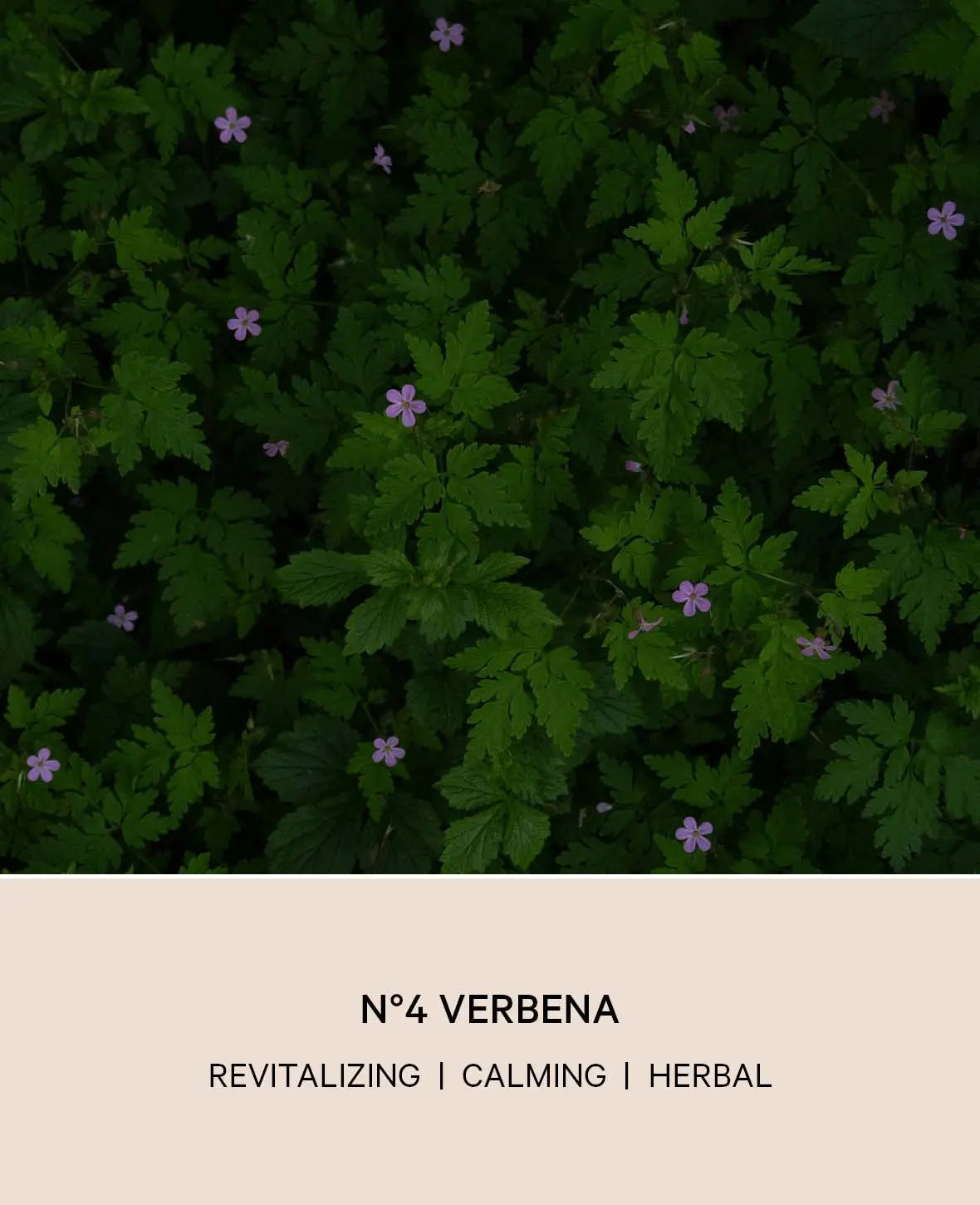 NO 4 VERBENA RAUMSPRAY, 200ML