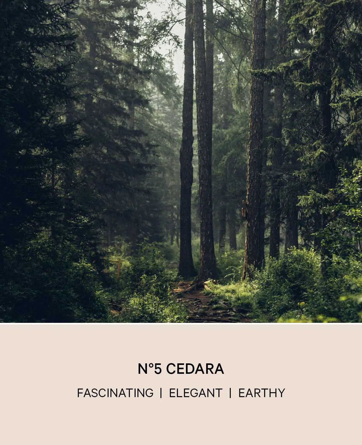 NO 5 CEDARA ROOM SPRAY, 200ML