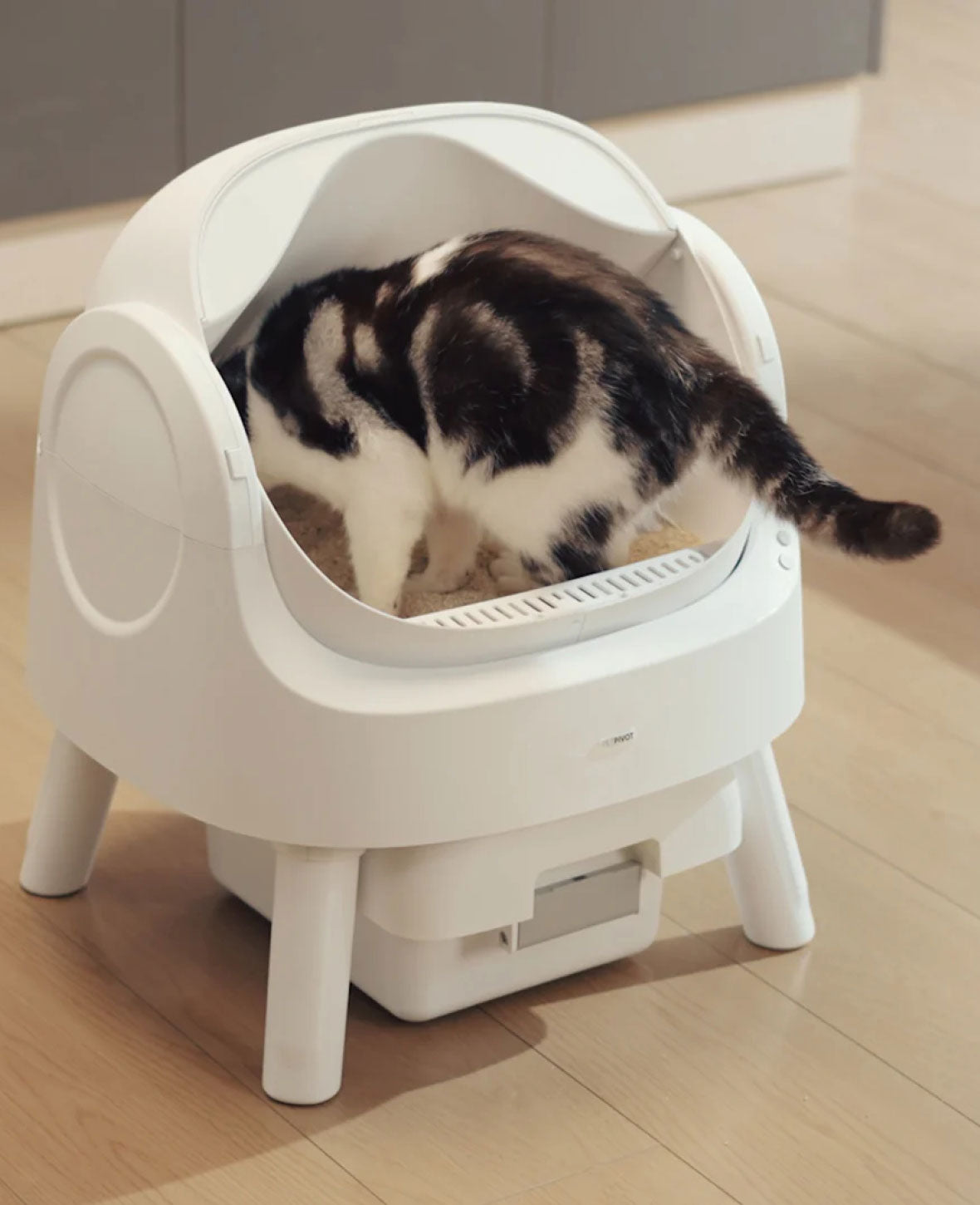 Self-cleaning litter box with bag
