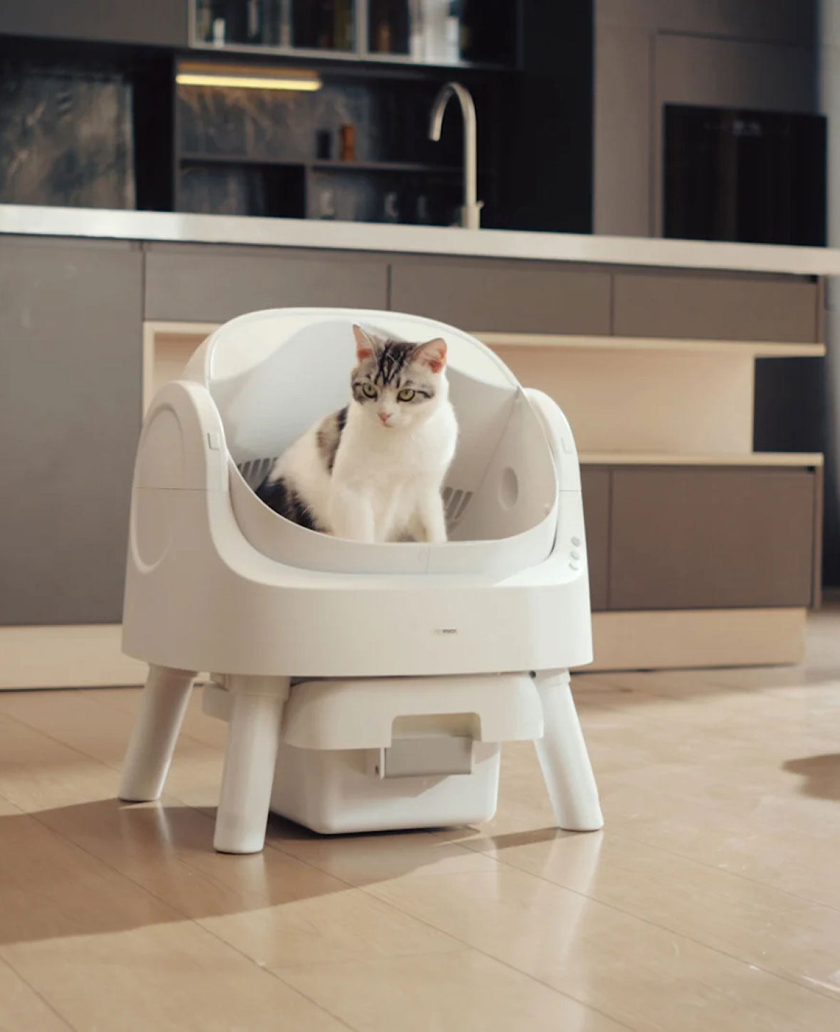 Selbstreinigende Katzentoilette mit Beutel, offen & leise
