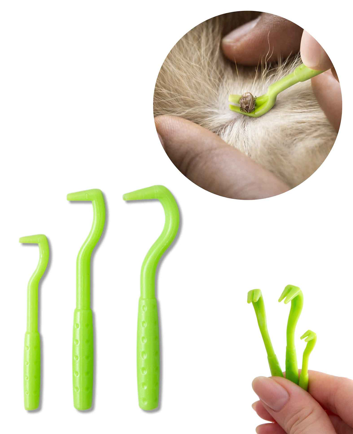 Zeckenentferner / Haken, Set mit 3 Stück in unterschiedlichen Grössen, Grün