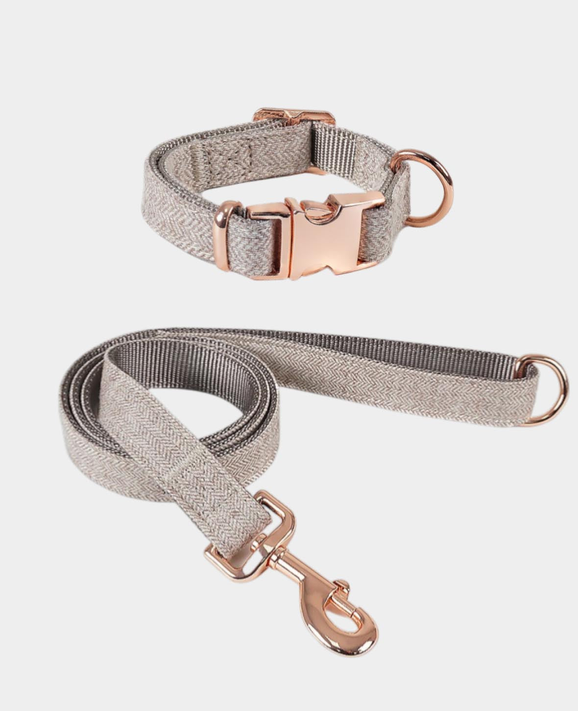 Luxus Hundehalsband mit Leine, beige, S