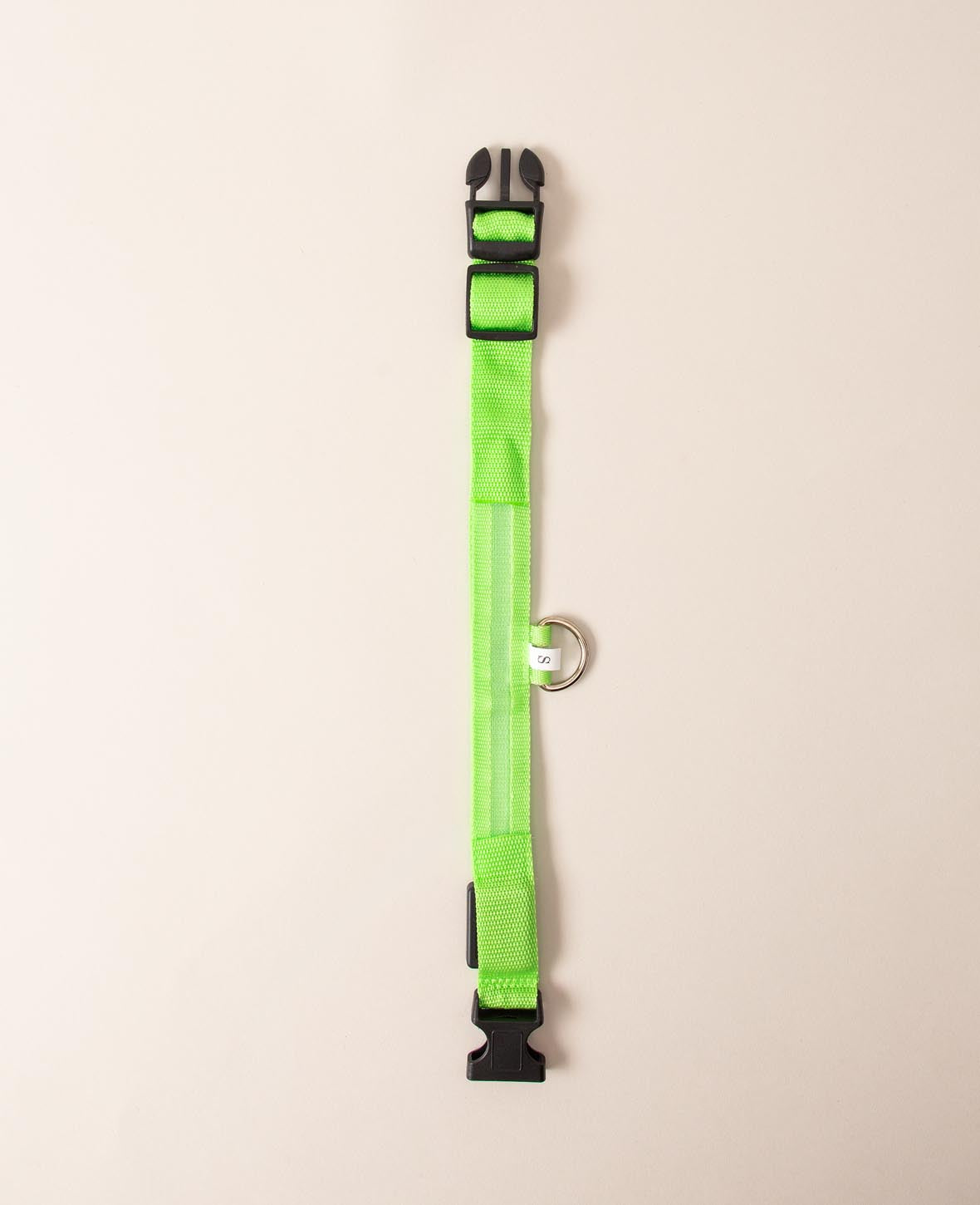LED Dog Collar, S
