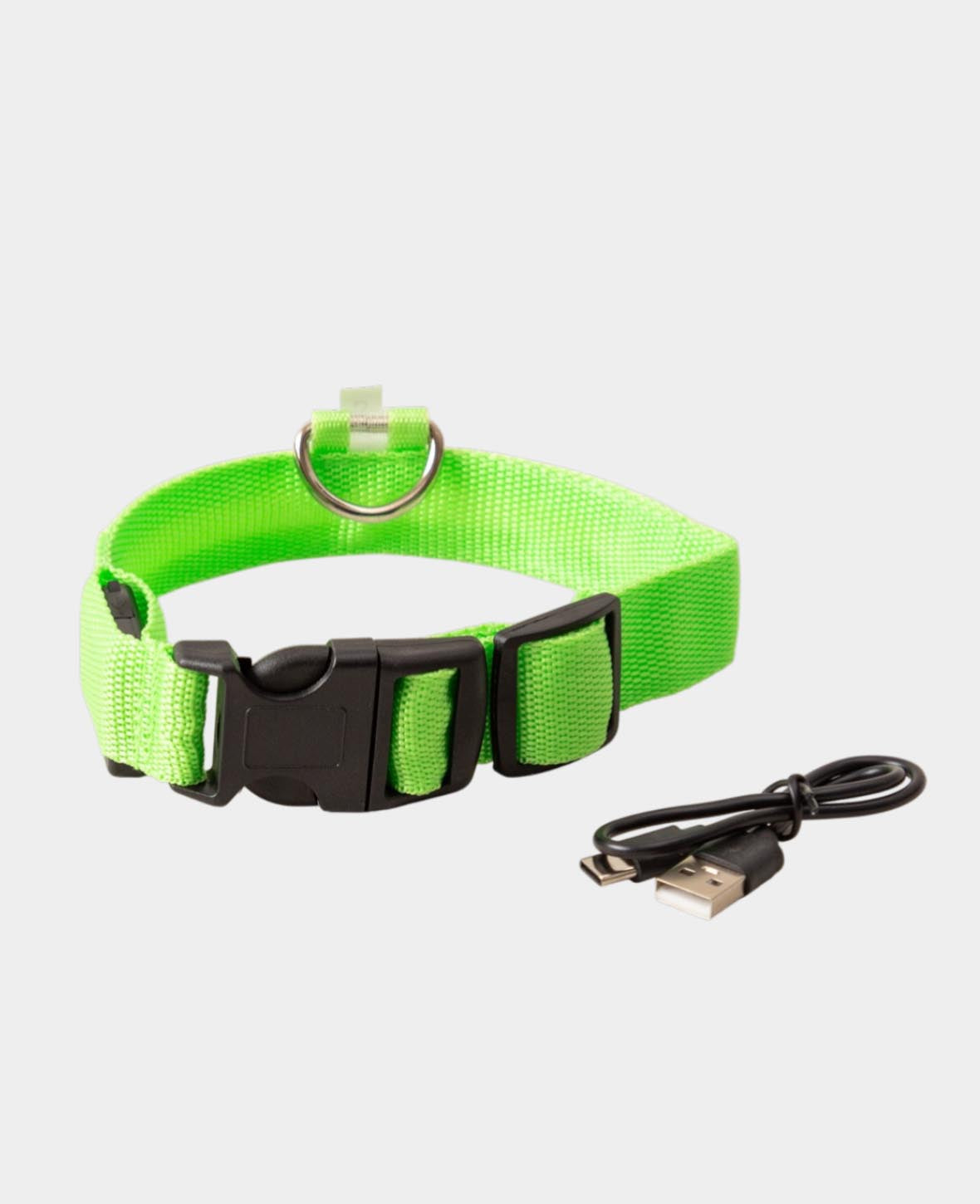 LED Dog Collar, S
