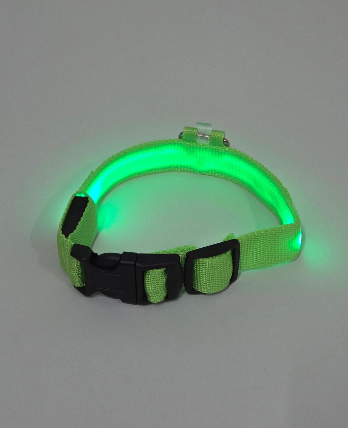 LED Hundehalsband, S