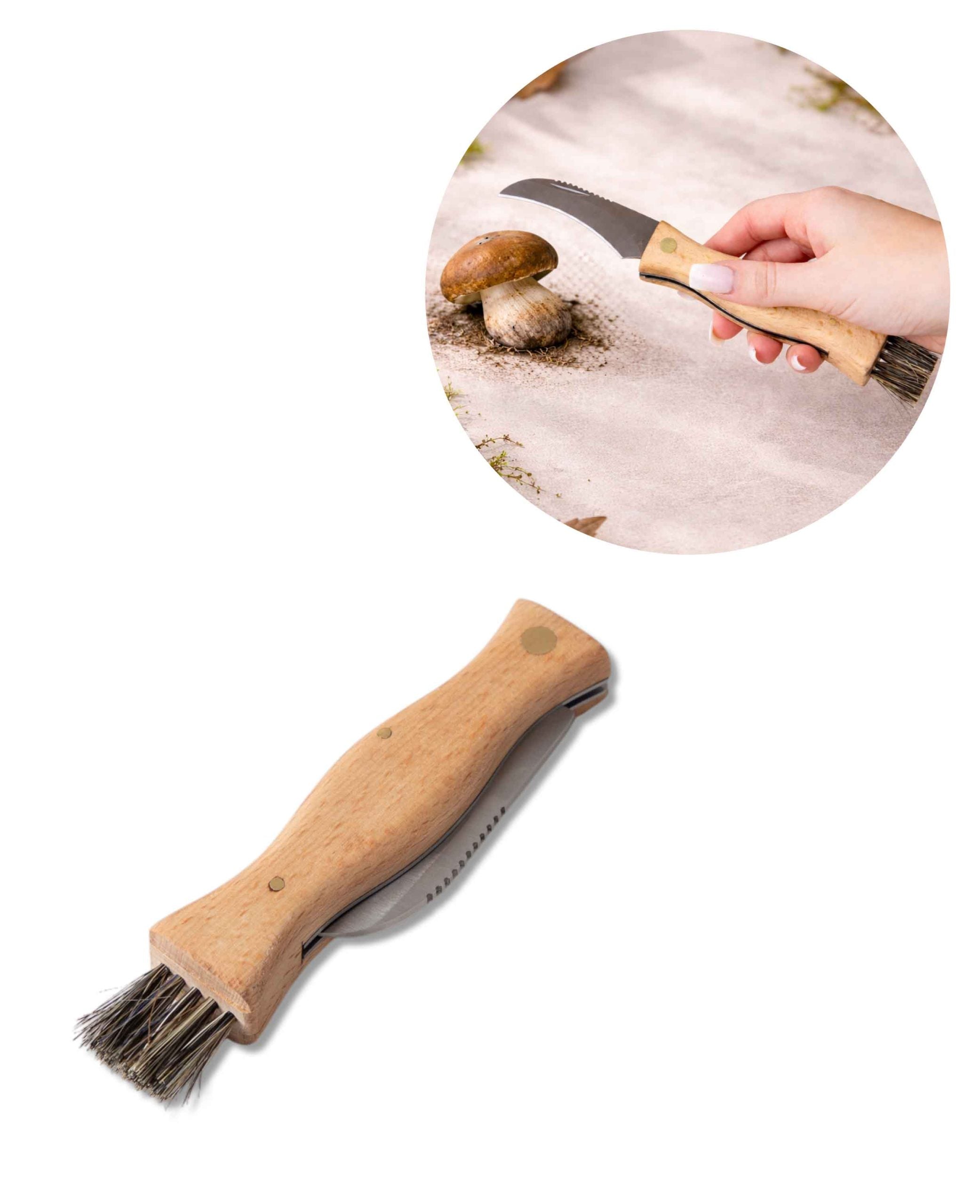 Couteau à champignons en hêtre