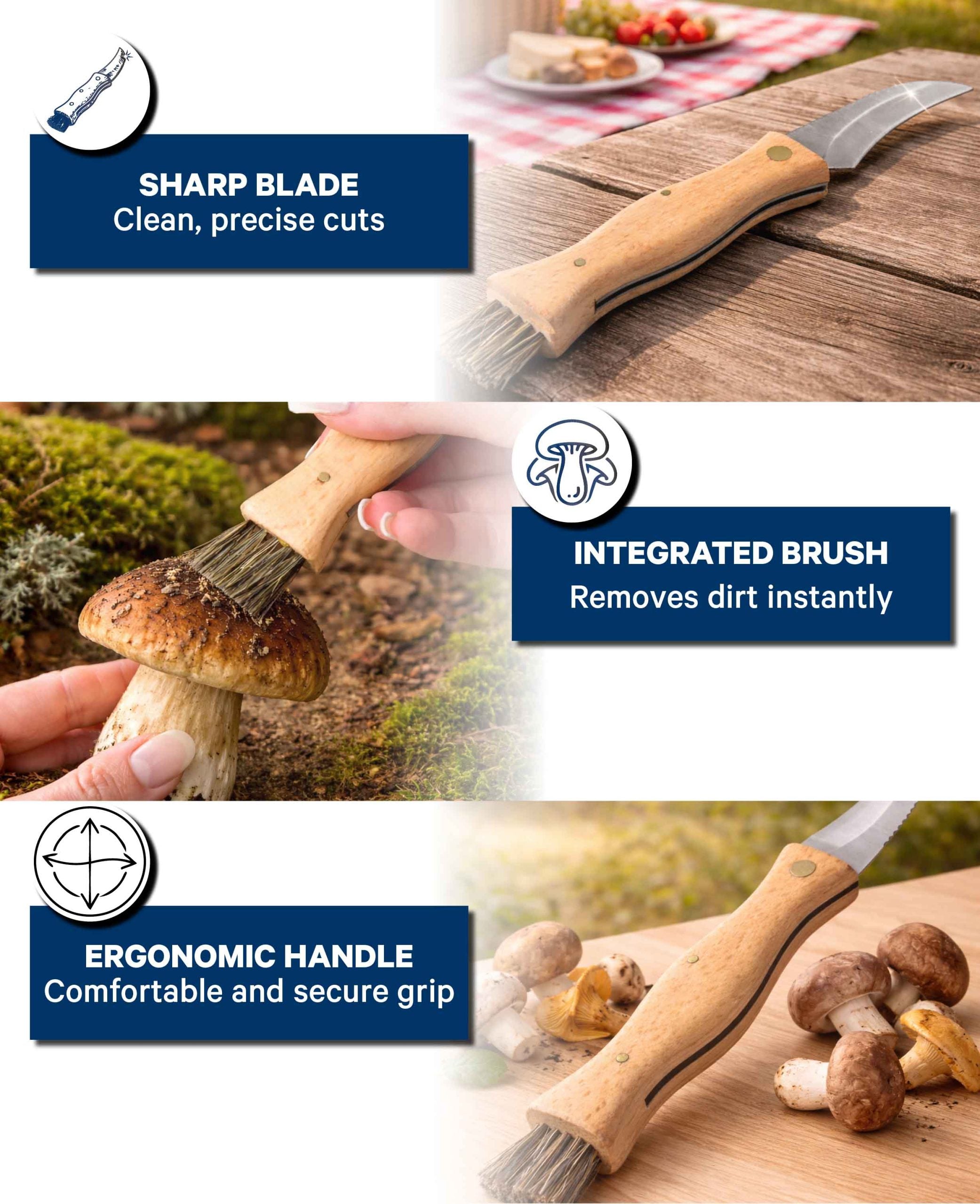 Couteau à champignons en hêtre