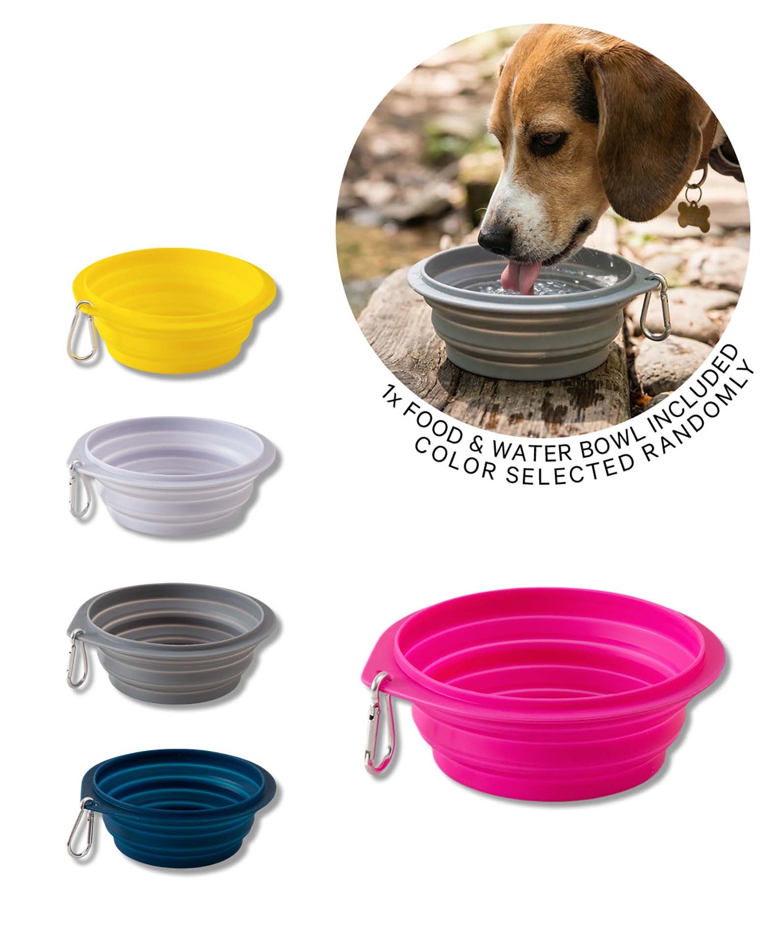 Faltbarer Futternapf Hund / Katze, Silikon, Assortiert
