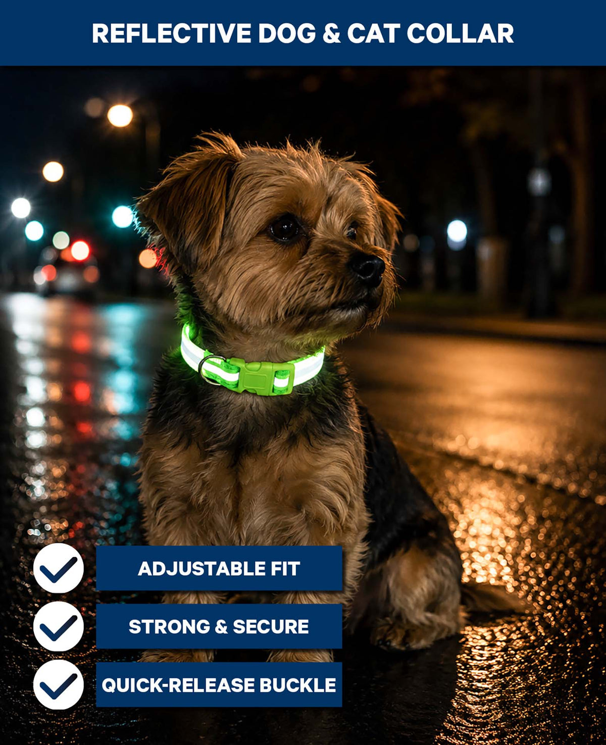 Reflektierendes Hunde- & Katzenhalsband, Grün