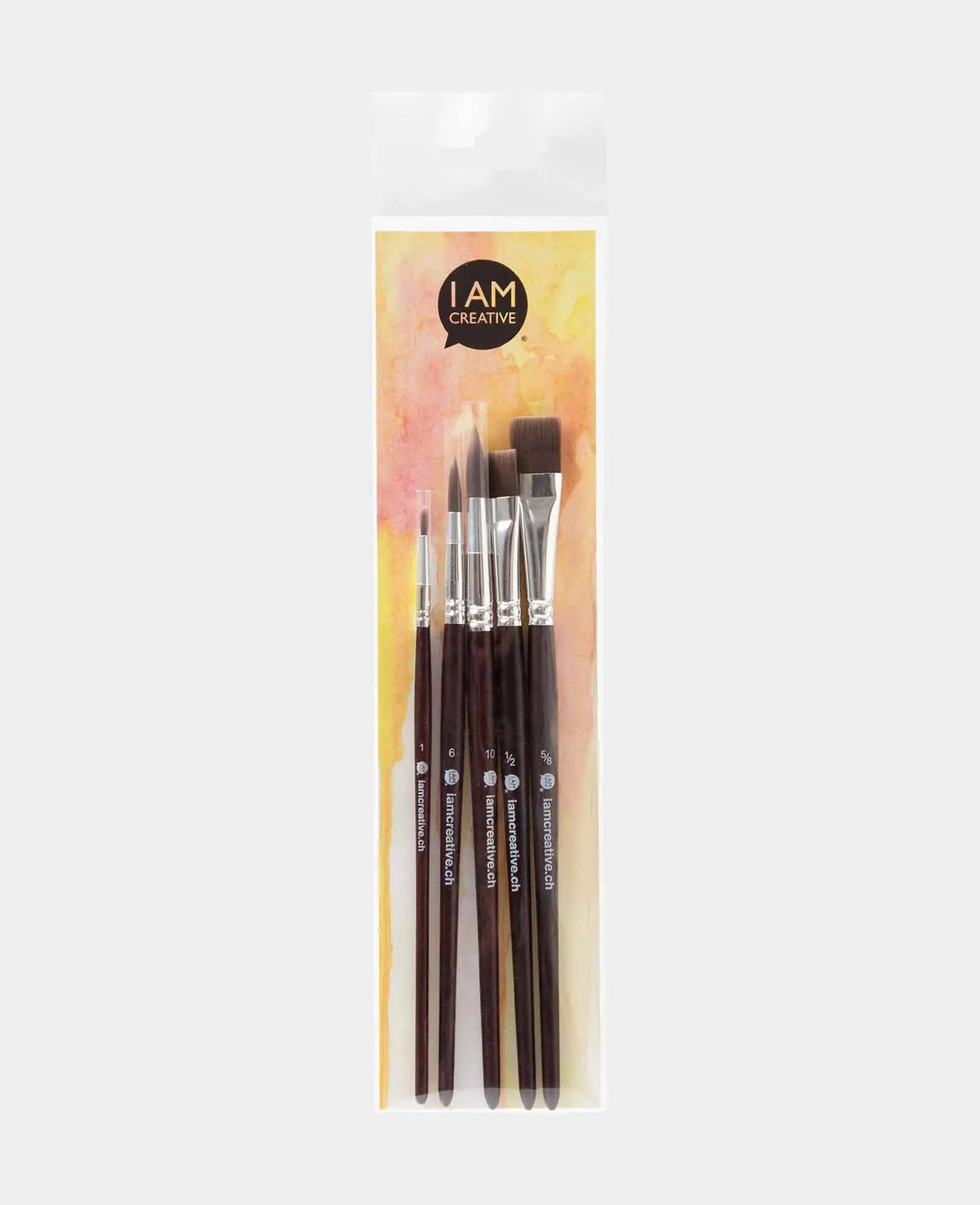 Lot de 5 pinceaux universels