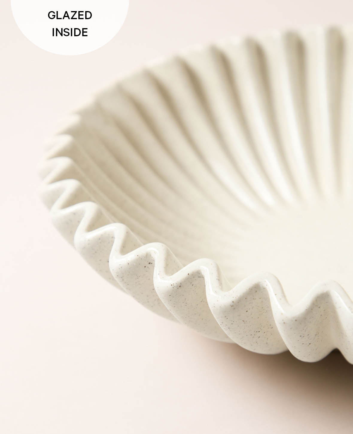Scallop shell, D.26.5