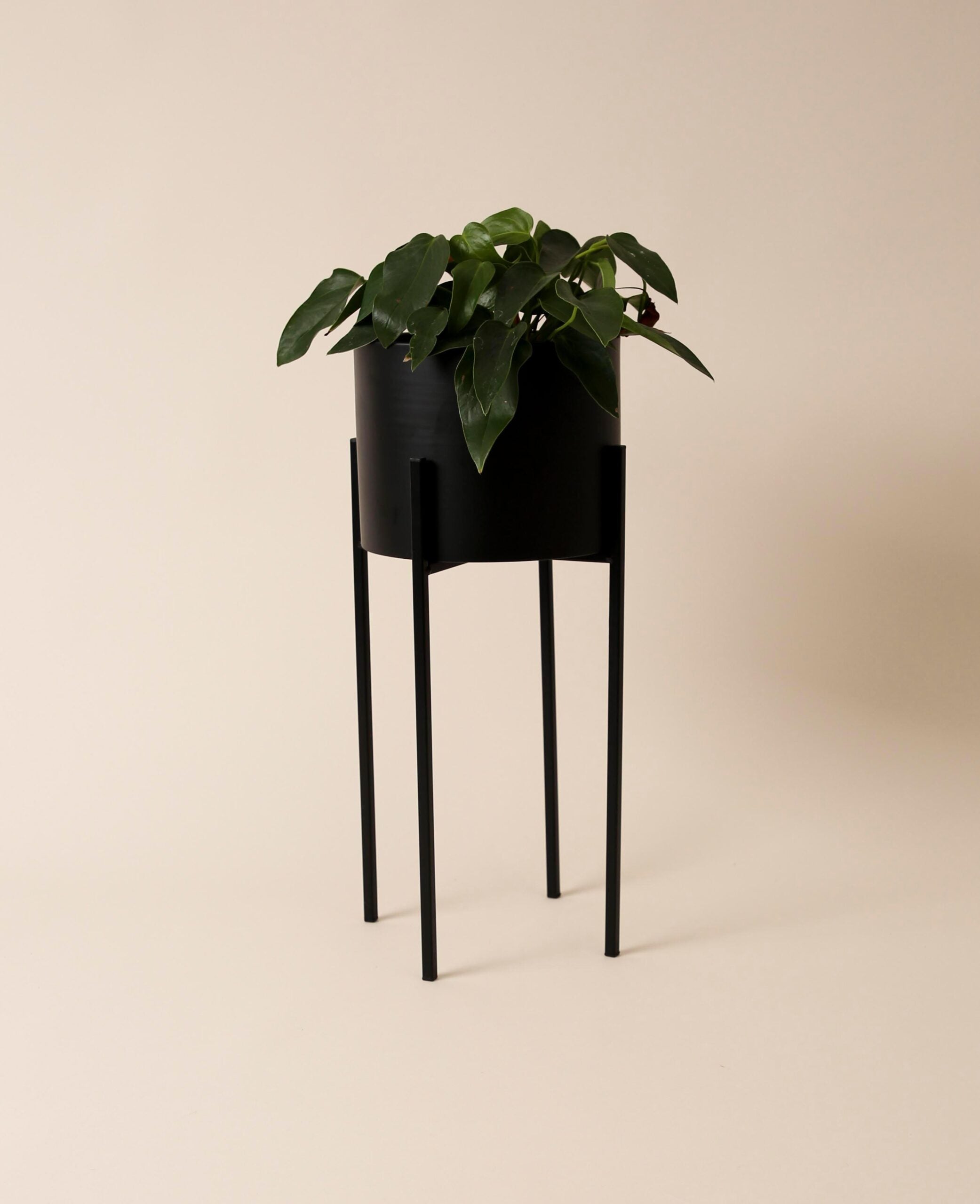 Stehtopf / Blumentopf mit Beinen aus Metall, matt schwarz, 52 cm
