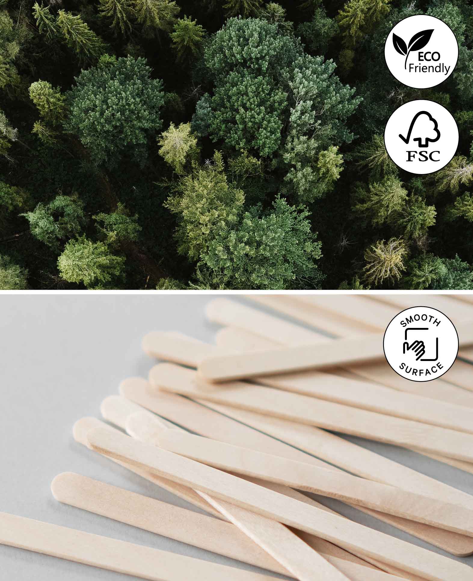 Craft sticks, 65 x 10 mm, 100 pcs.