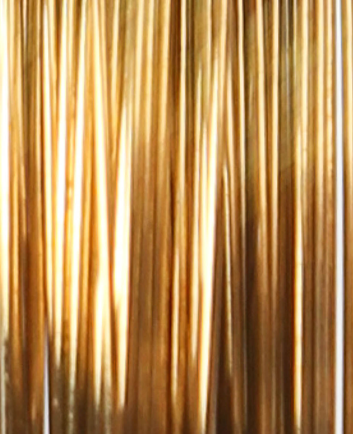 Brass Wire, Metal Wire for Crafts, DIY Decorations and Jewelry, Gold, 0.40 mm x 20 m, Rolled