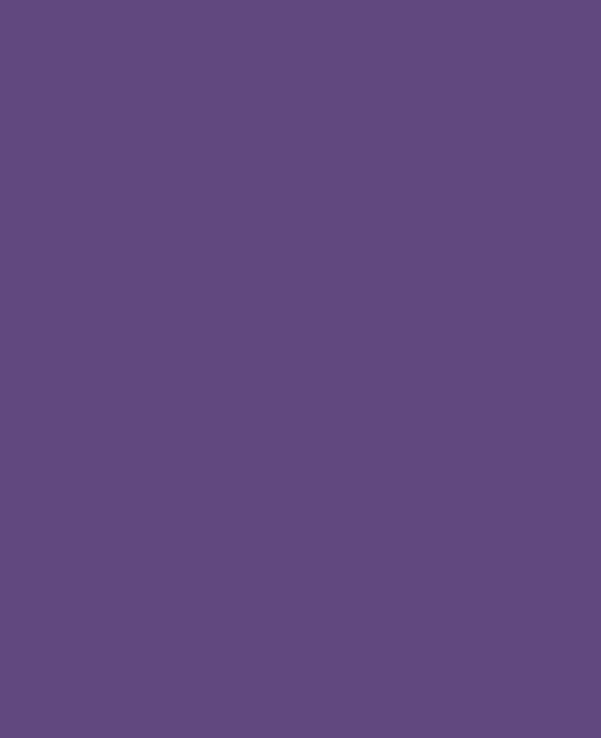 SOLO GOYA Triton Acrylfarbe, Violett, 750 ml