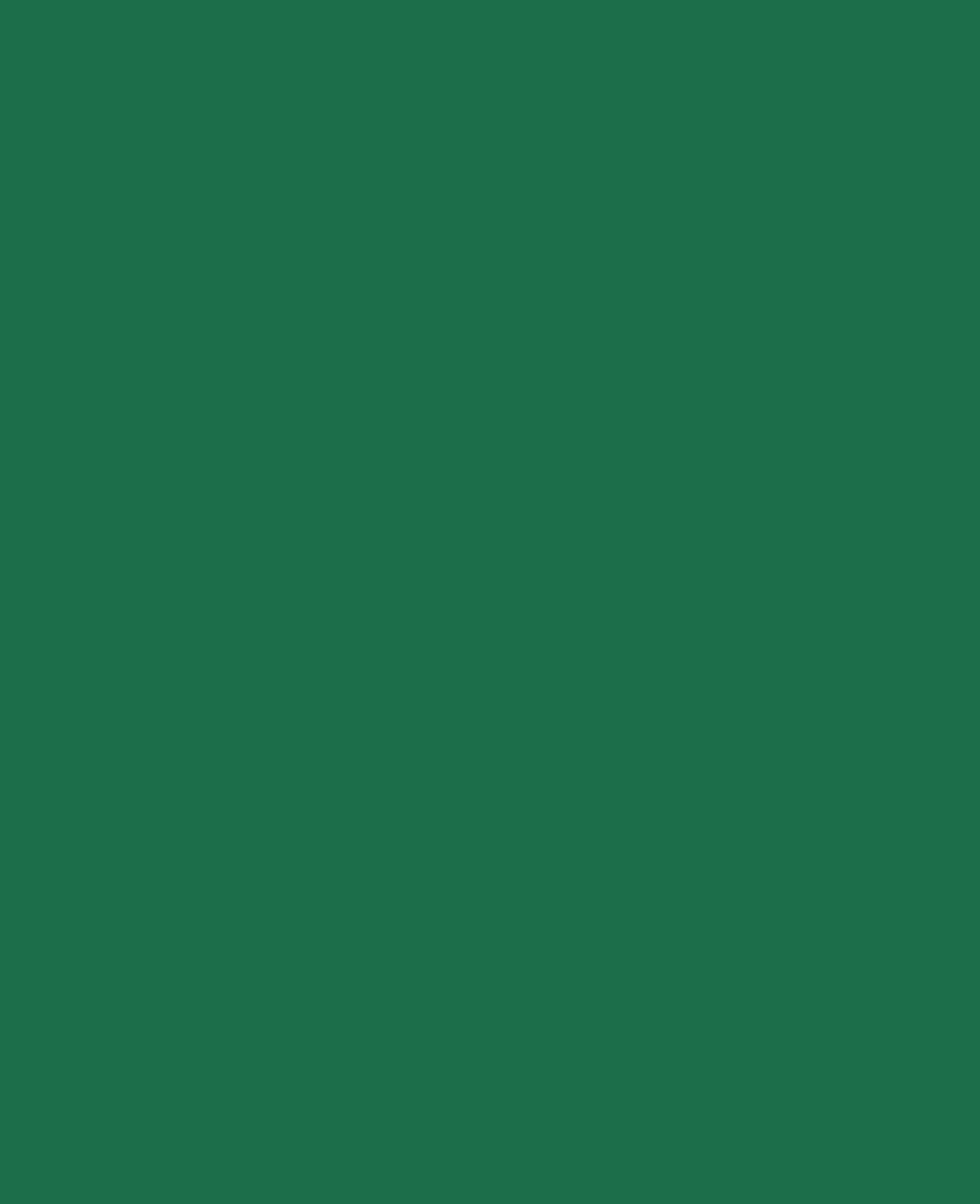 Triton Acrylic Liquid, à base d'eau, vert foncé, 750 ml