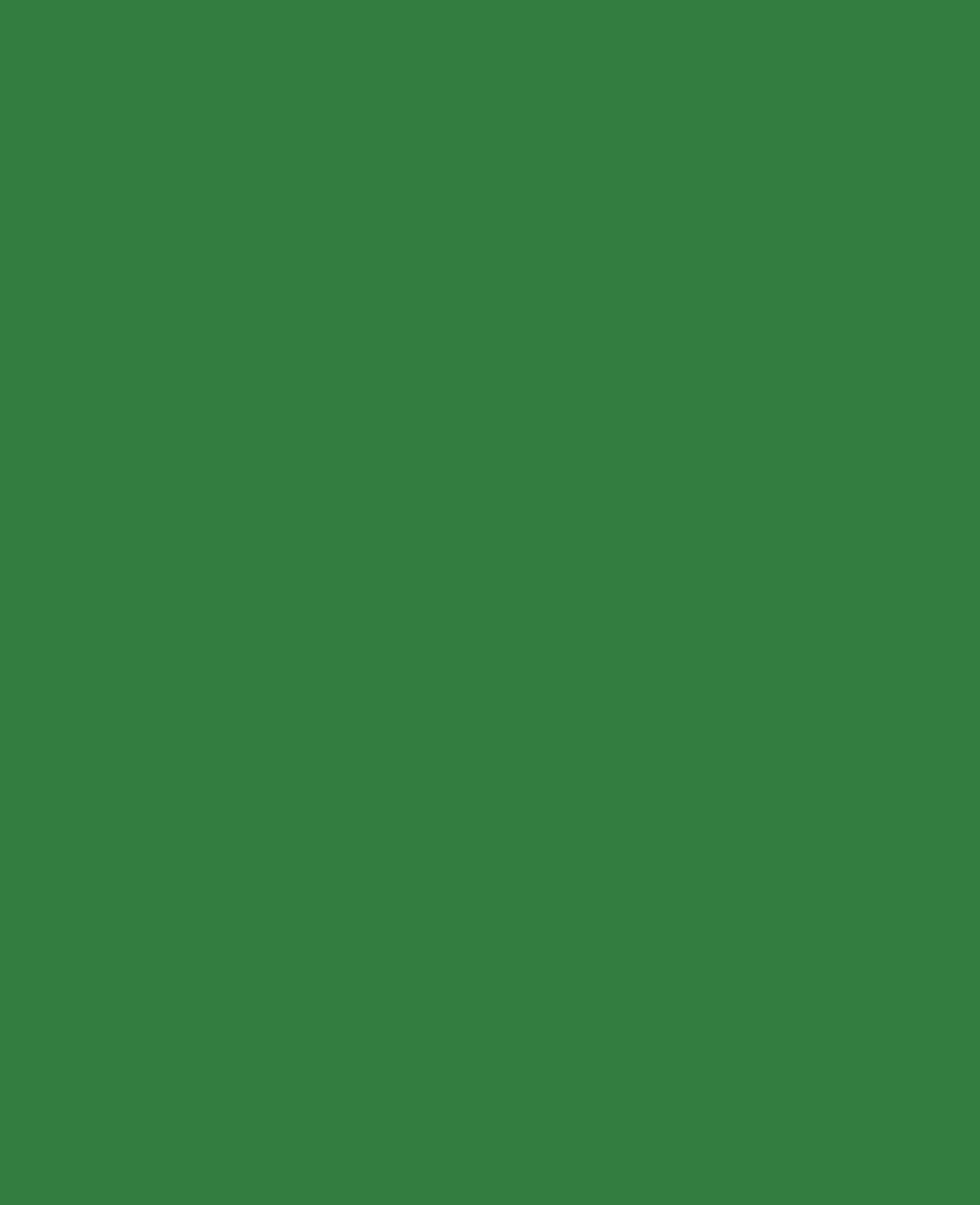 Triton Acrylique Liquide, à base d'eau, vert feuillage, 750 ml