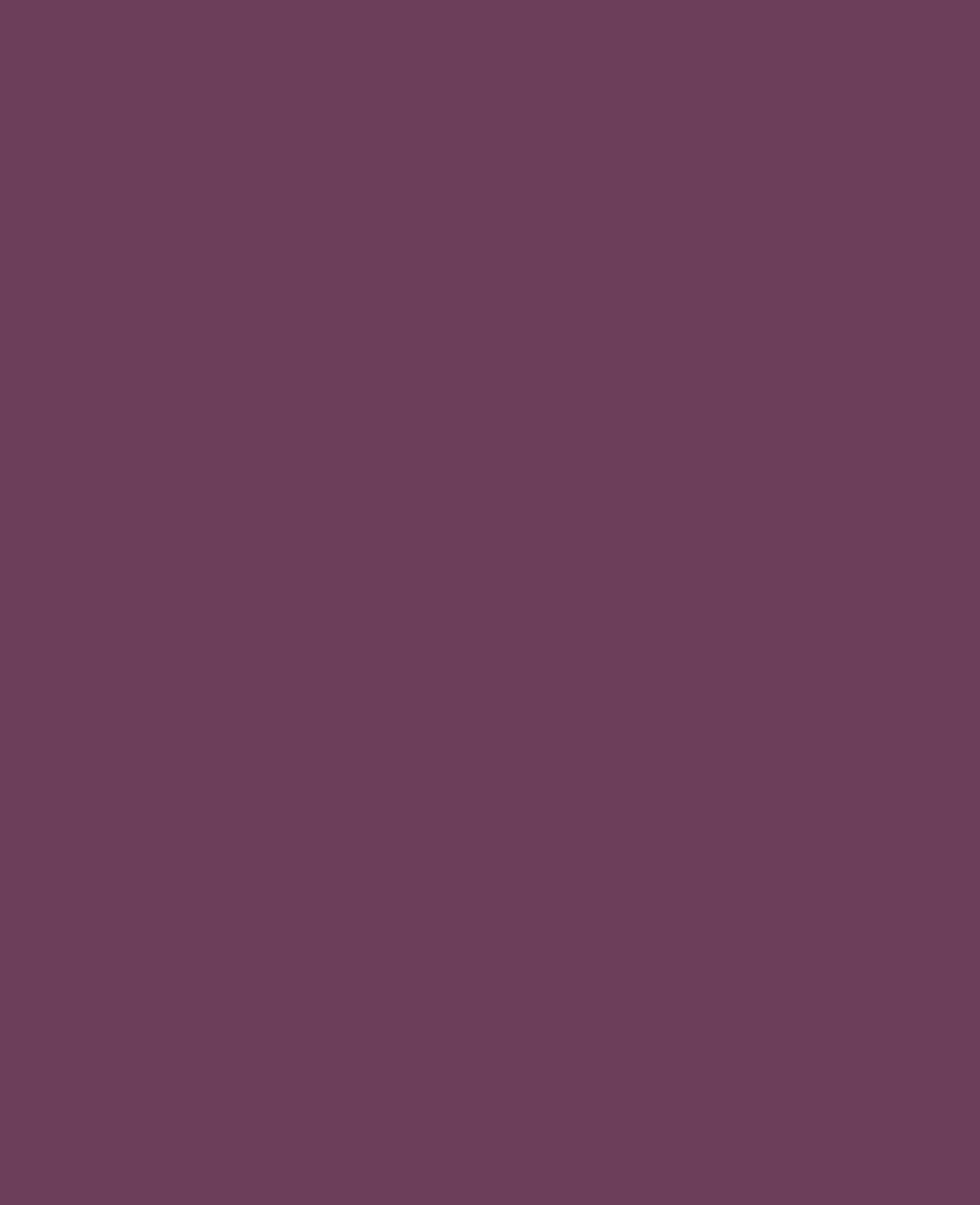 Triton Acrylic Liquid, auf Wasserbasis, Aubergine, 750 ml