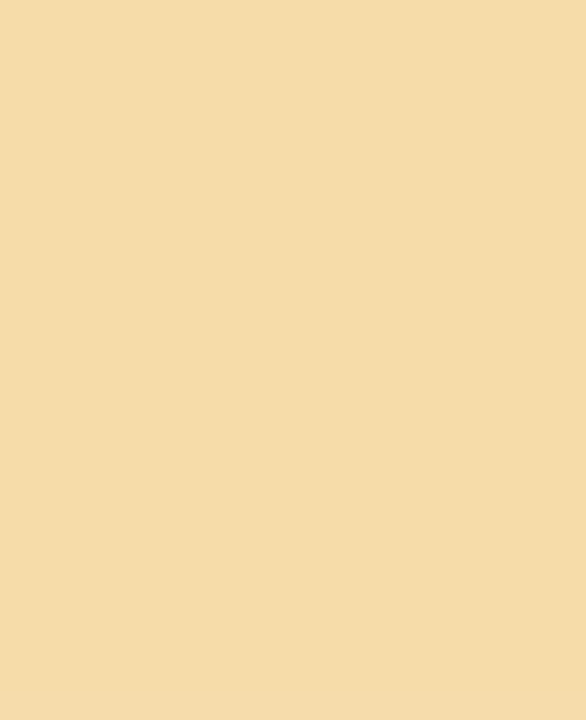 Triton Acrylique Liquide, à base d'eau, Beige, 750 ml
