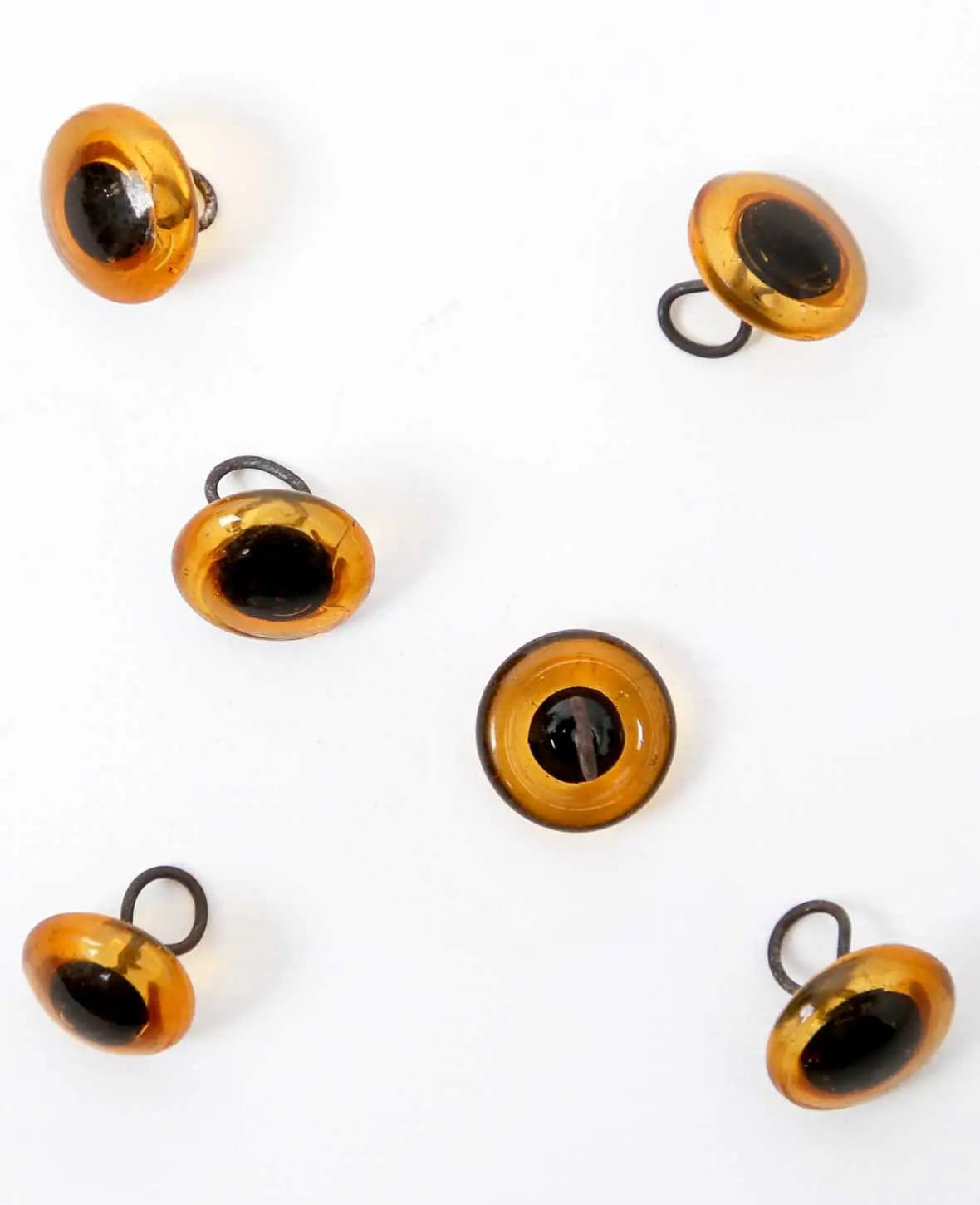 Tieraugen mit Öse, Glas, ca. ø 14 mm, Braun, 6 Stk.