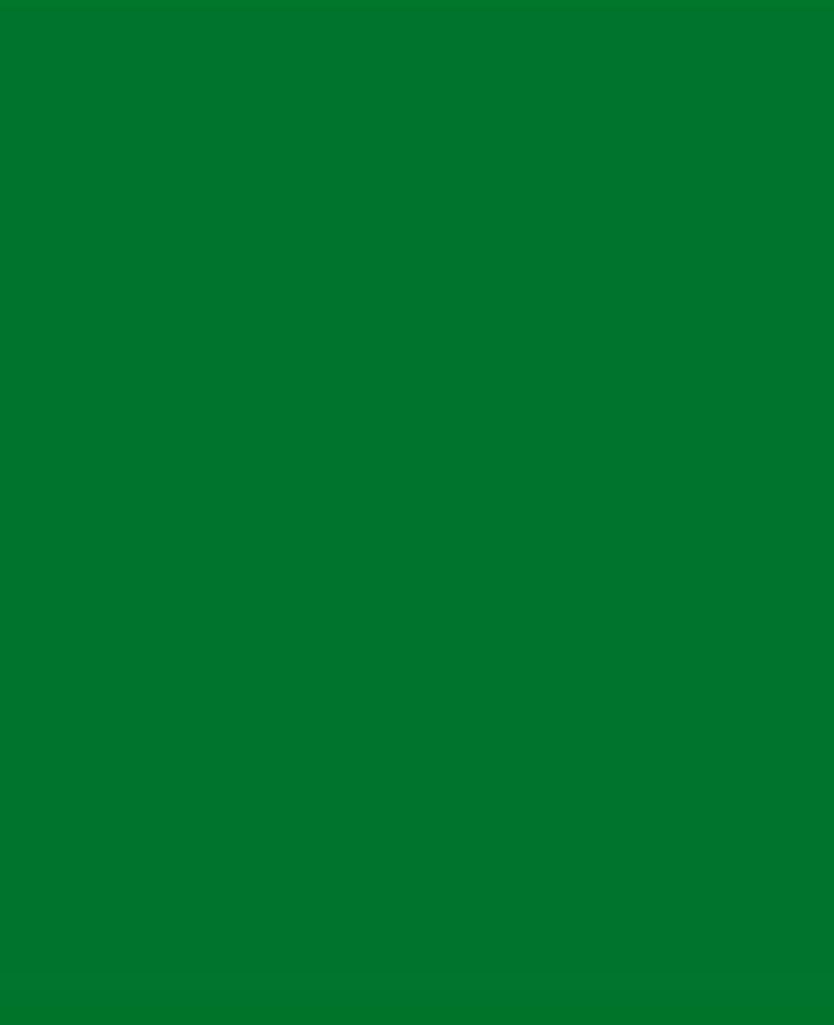 SOLO GOYA Triton marqueur de peinture acrylique 1.4 vert feuillage