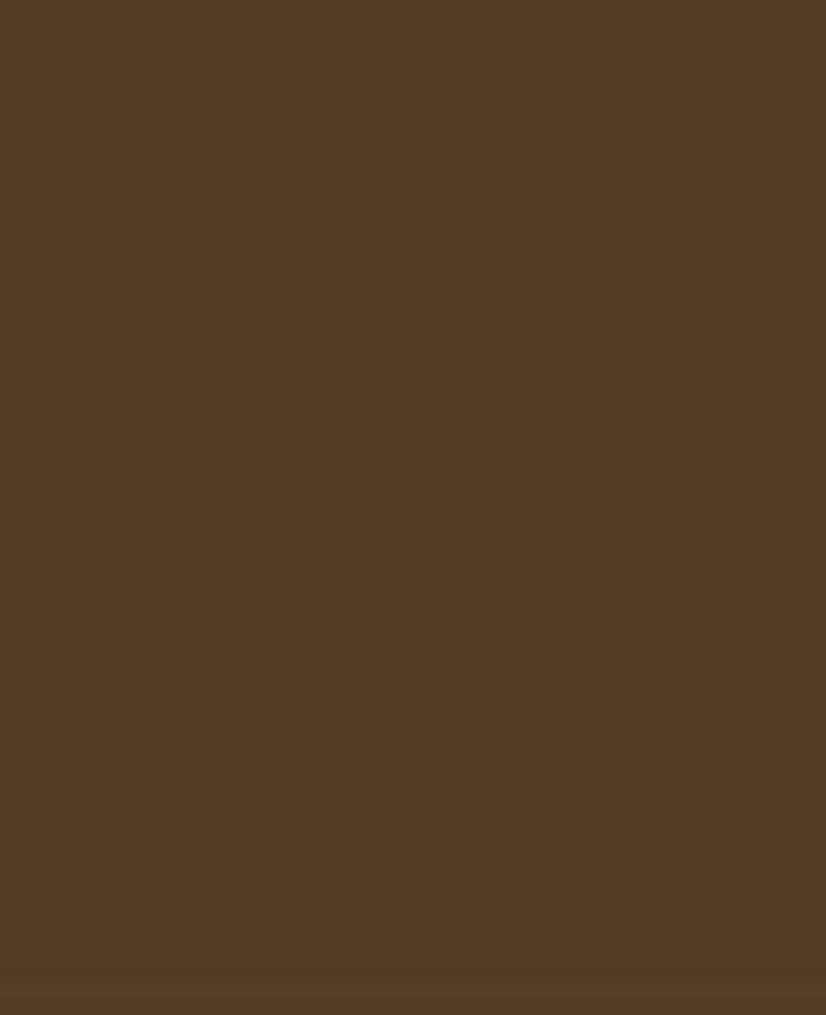 SOLO GOYA Triton Acrylic Paint Marker 1.4 Havannabraun