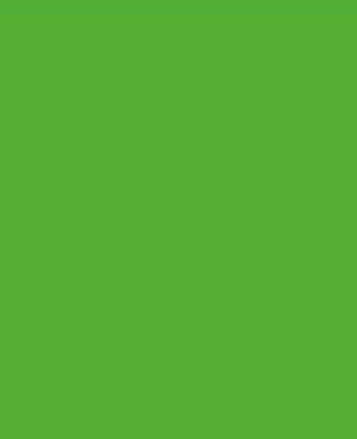 SOLO GOYA Triton marqueur de peinture acrylique 1.4 Vert Fluorescent