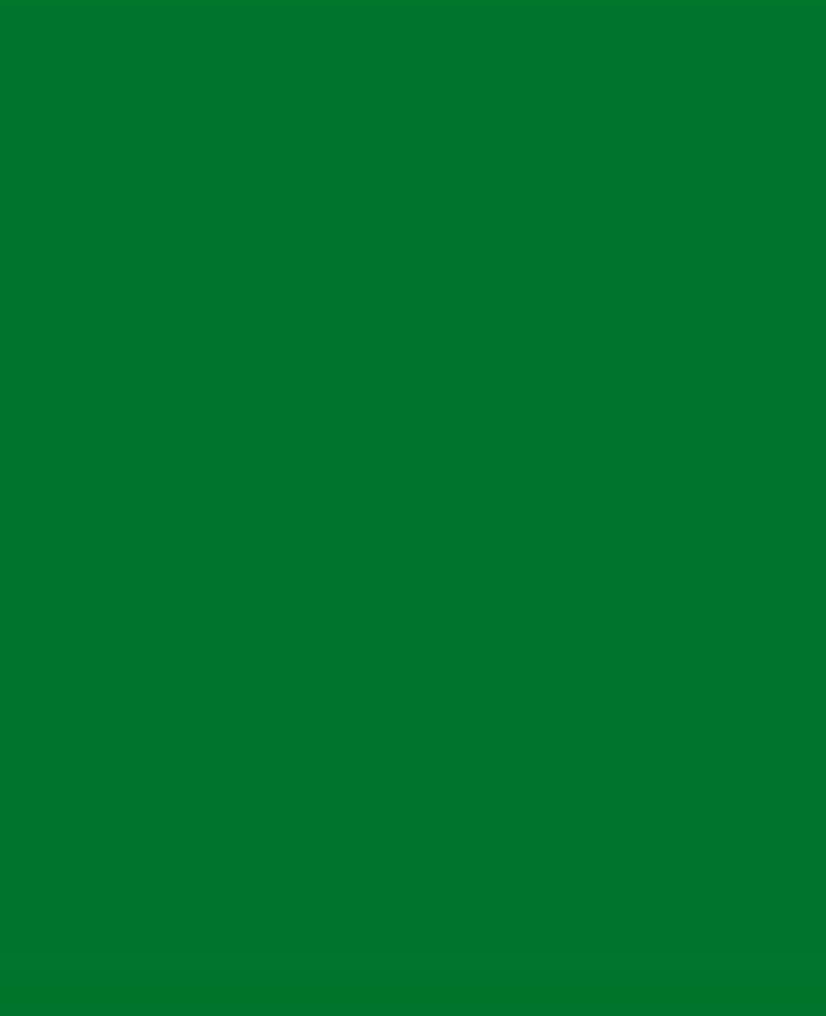 Marqueur de peinture acrylique SOLO GOYA Triton 15.0 Vert feuillage