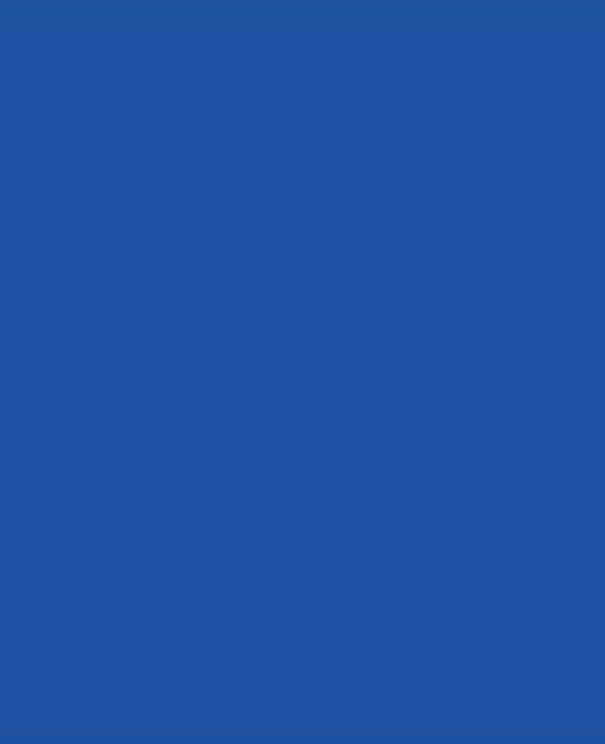 SOLO GOYA Triton Acrylic Paint Marker 15.0 Ultramarinblau