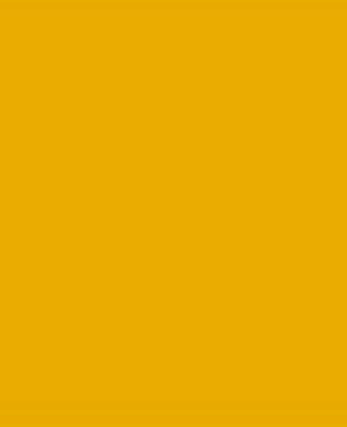 SOLO GOYA Triton Acrylic Paint Marker 15.0 Gold