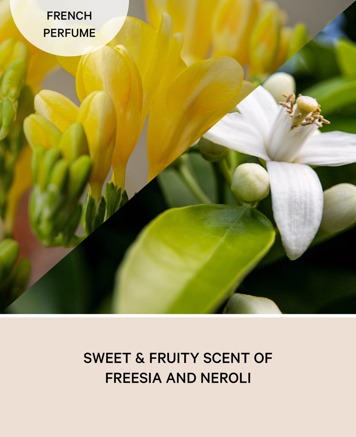 Fragrance Oil, Freesia Neroli