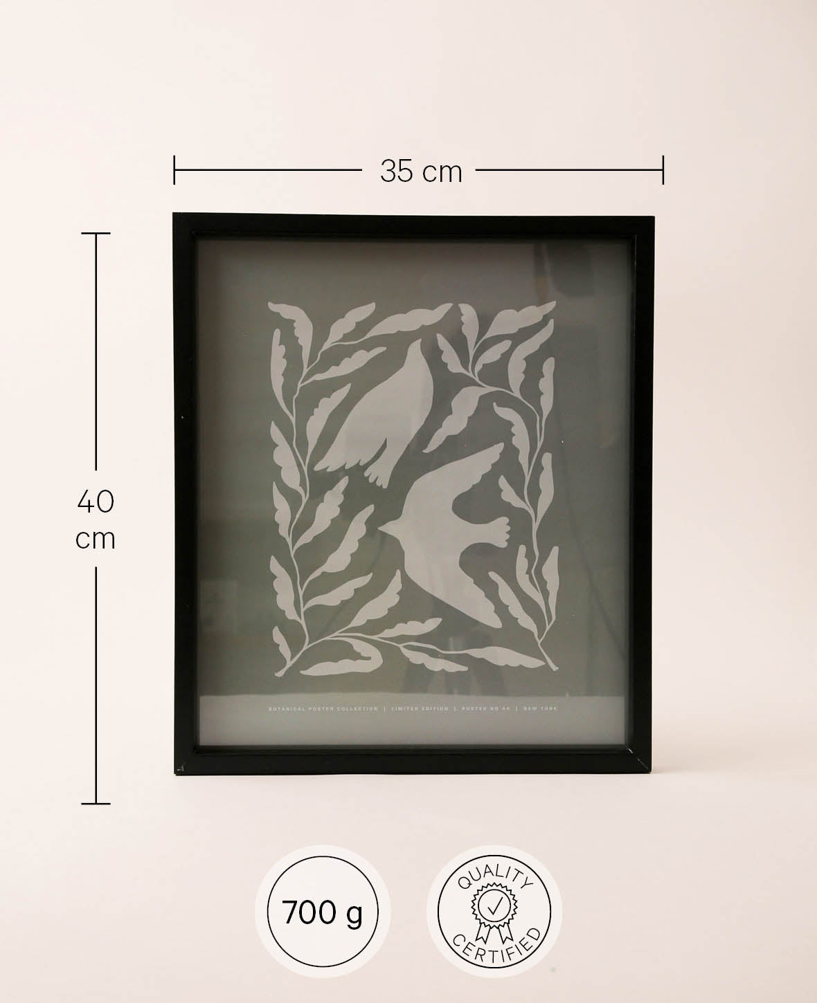 White Bird Framed Poster