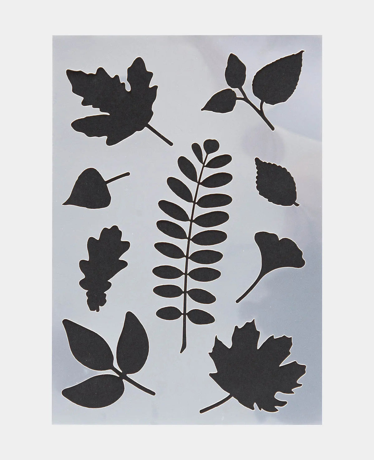 Pochoir feuilles, 210 x 297 mm (A4), blanc translucide
