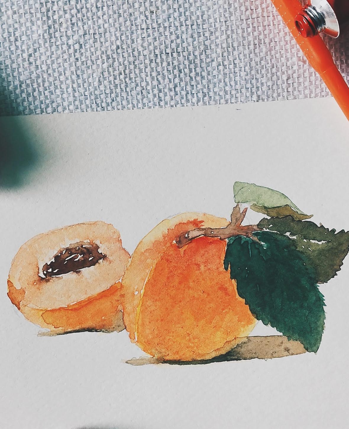 Kit Aquarelle Basique, 12 x 12 ml
