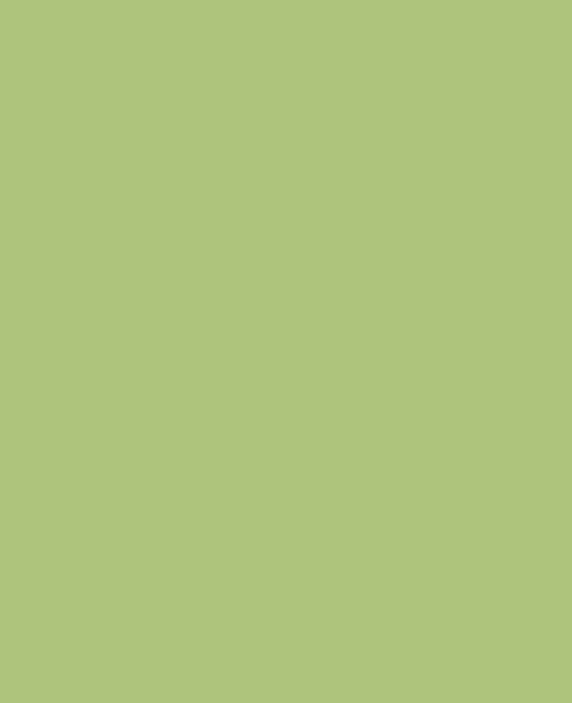 KREUL Chalky Chalk Marker medium Rosemary Green