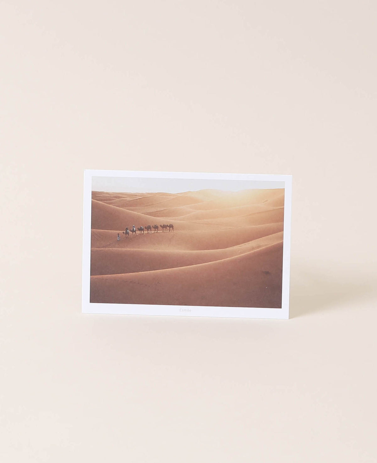 Carte postale, désert