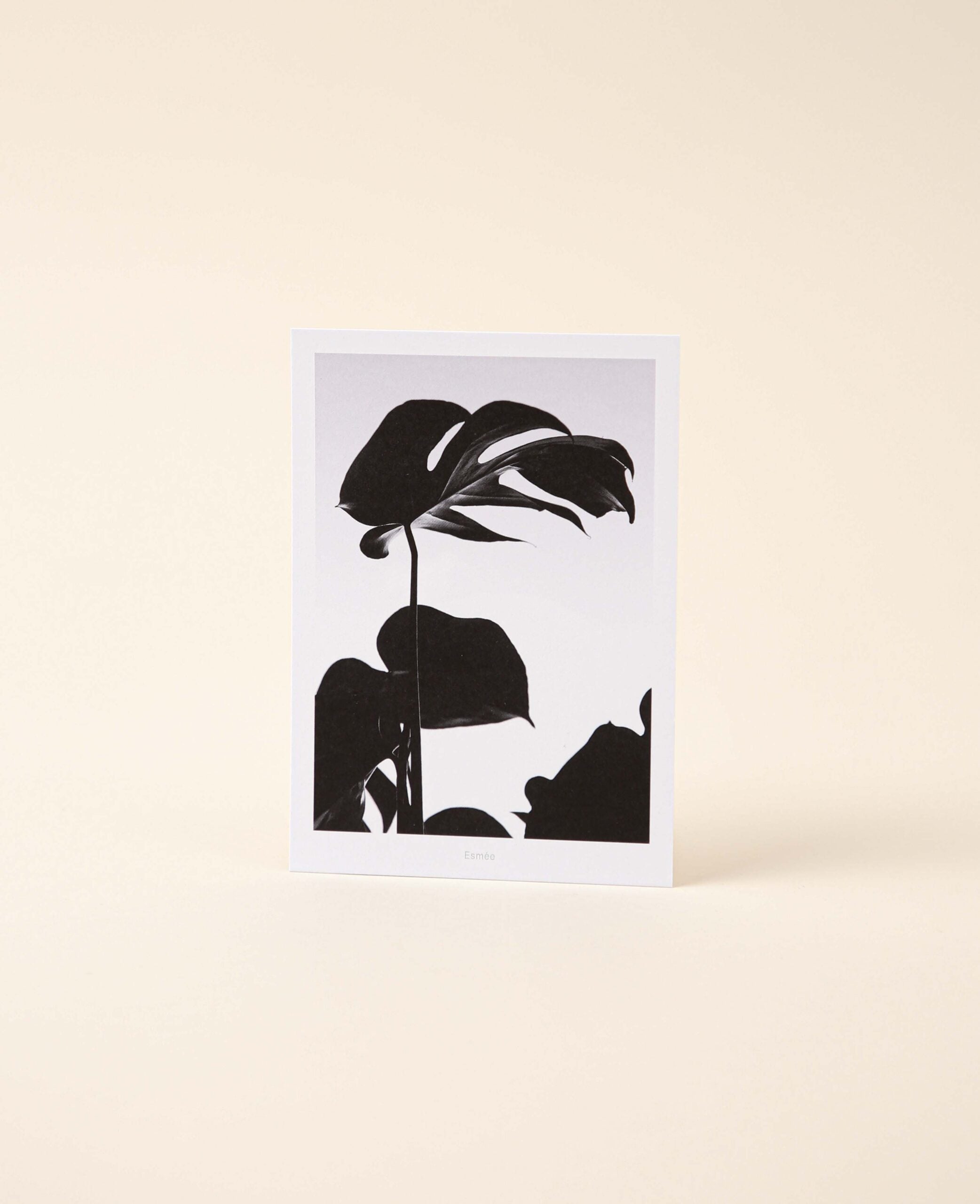 Grusskarte / Postkarte Hochformat "Monstera", 10.5 x 14.8 cm, weisse Karte mit Foto Print in Schwarz-Weiss