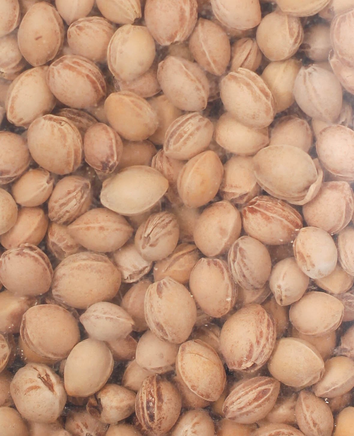 Kirschkerne, Braun, 500 g
