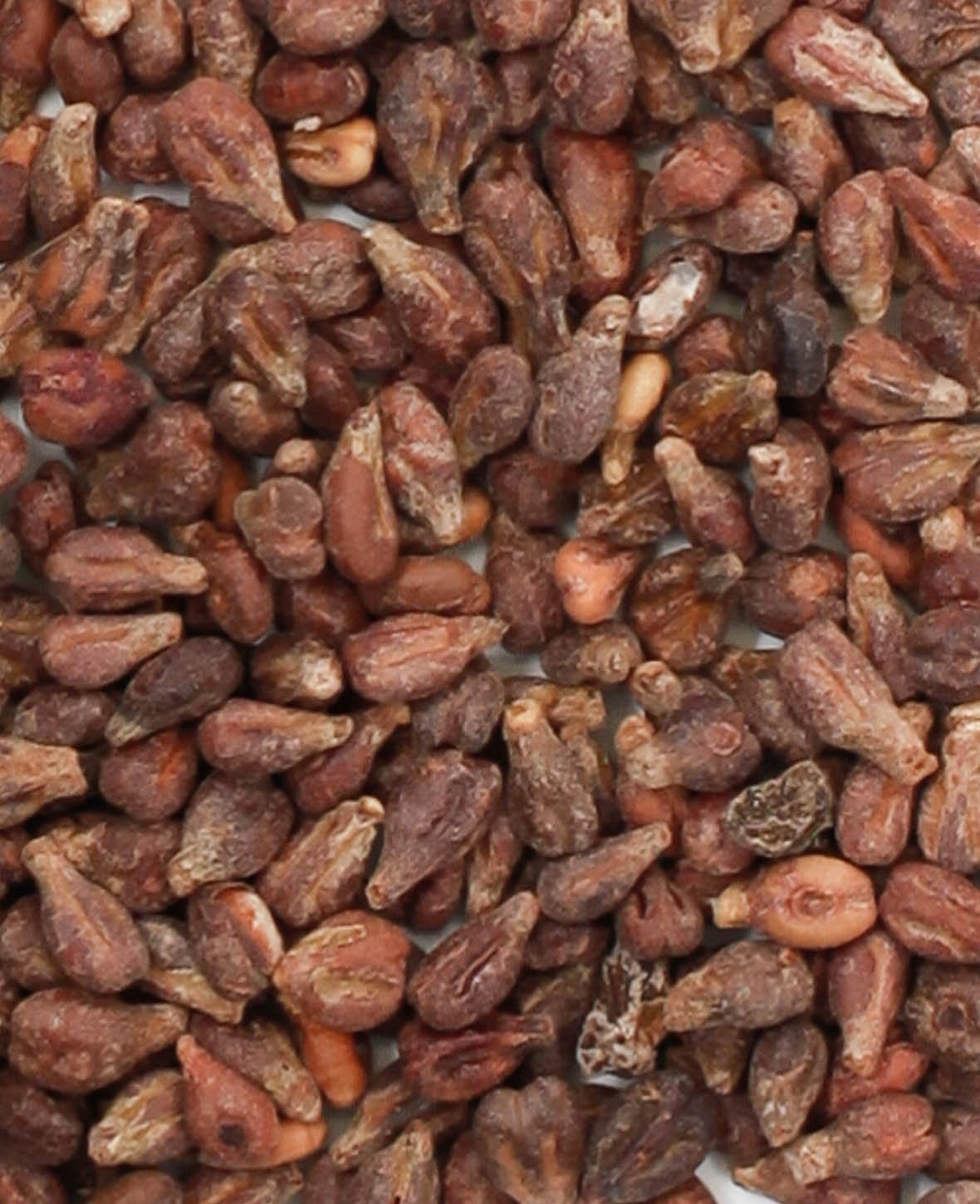 Traubenkerne, Braun, 500 g