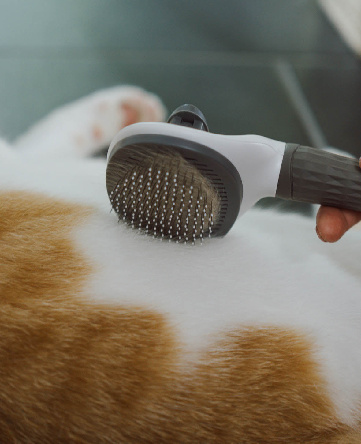 Self-Cleaning Pet Fur Brush