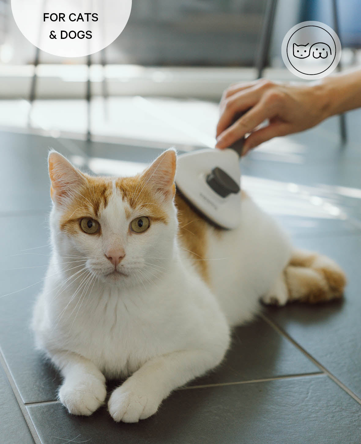 Self-Cleaning Pet Fur Brush