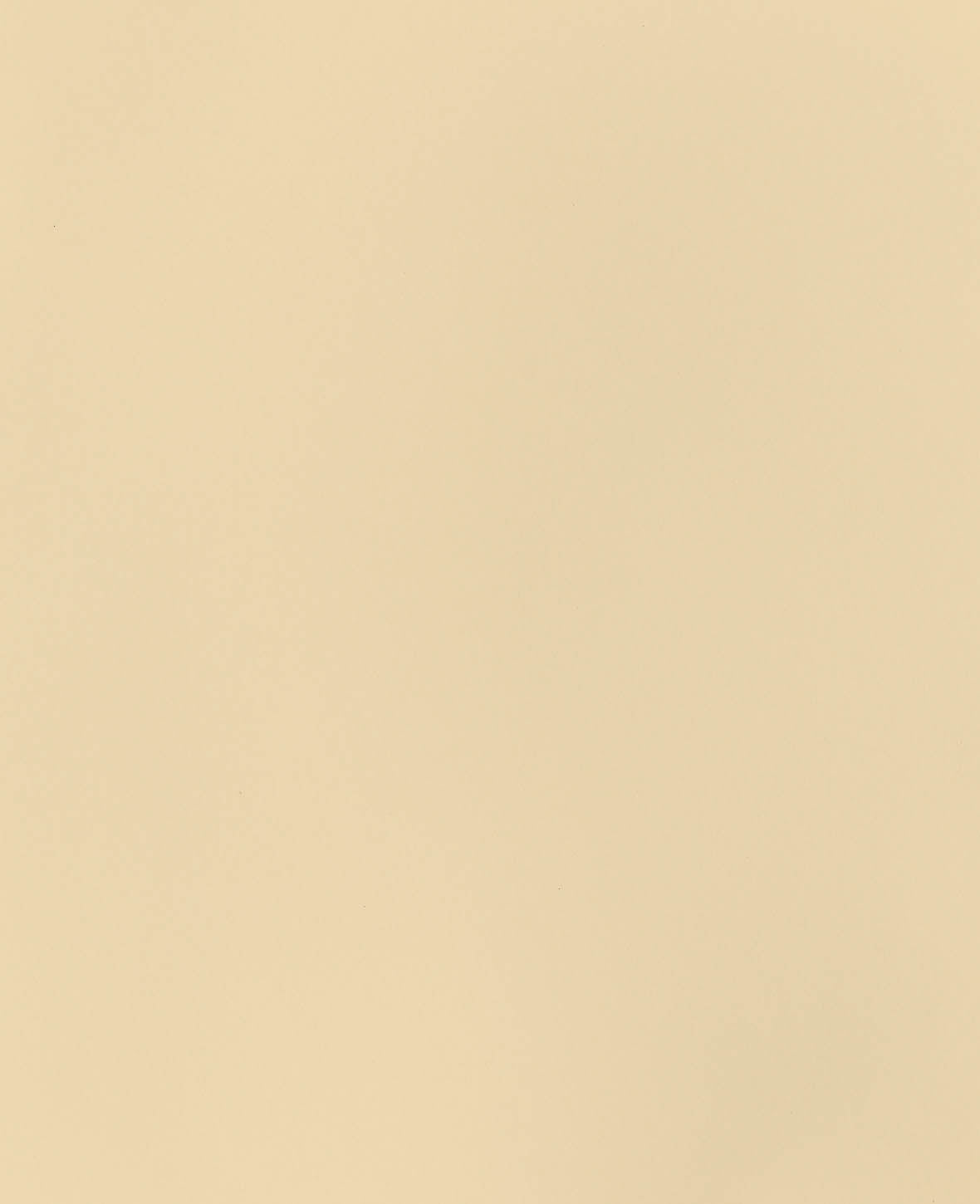Fotokarton, Creme, 50 x 70 cm, 270 g/m², 1 Blatt