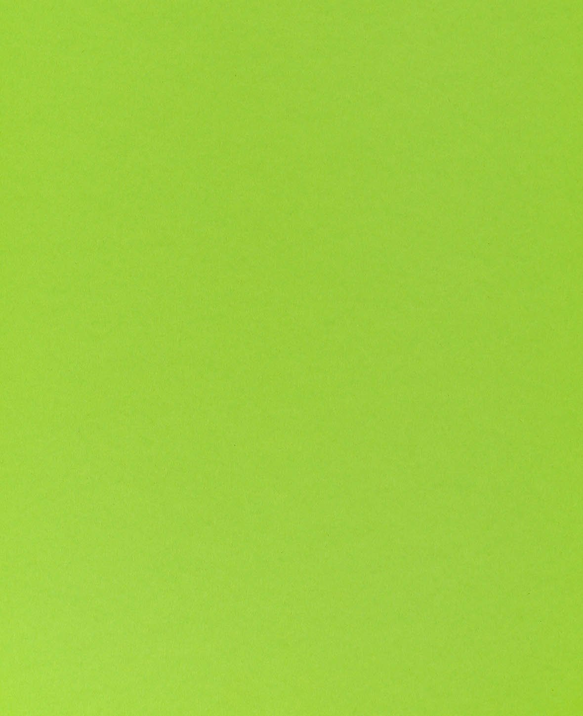 Fotokarton, Grasgrün, 50 x 70 cm, 270 g/m², 1 Blatt