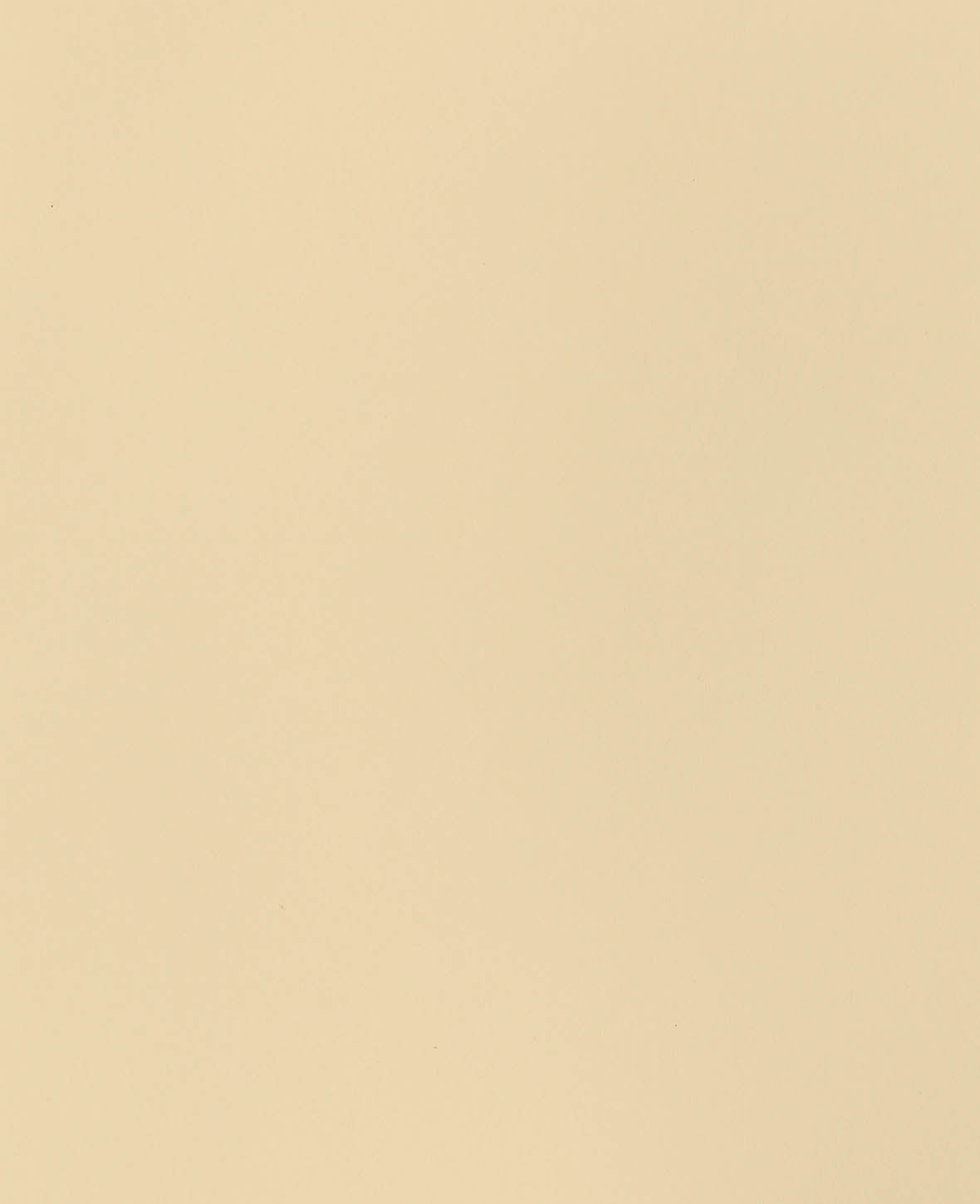 Fotokarton, Creme, 210 × 297 mm (A4), 270 g/m², 1 Blatt